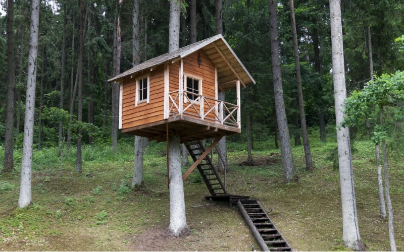 Wooden treehouse in forest area