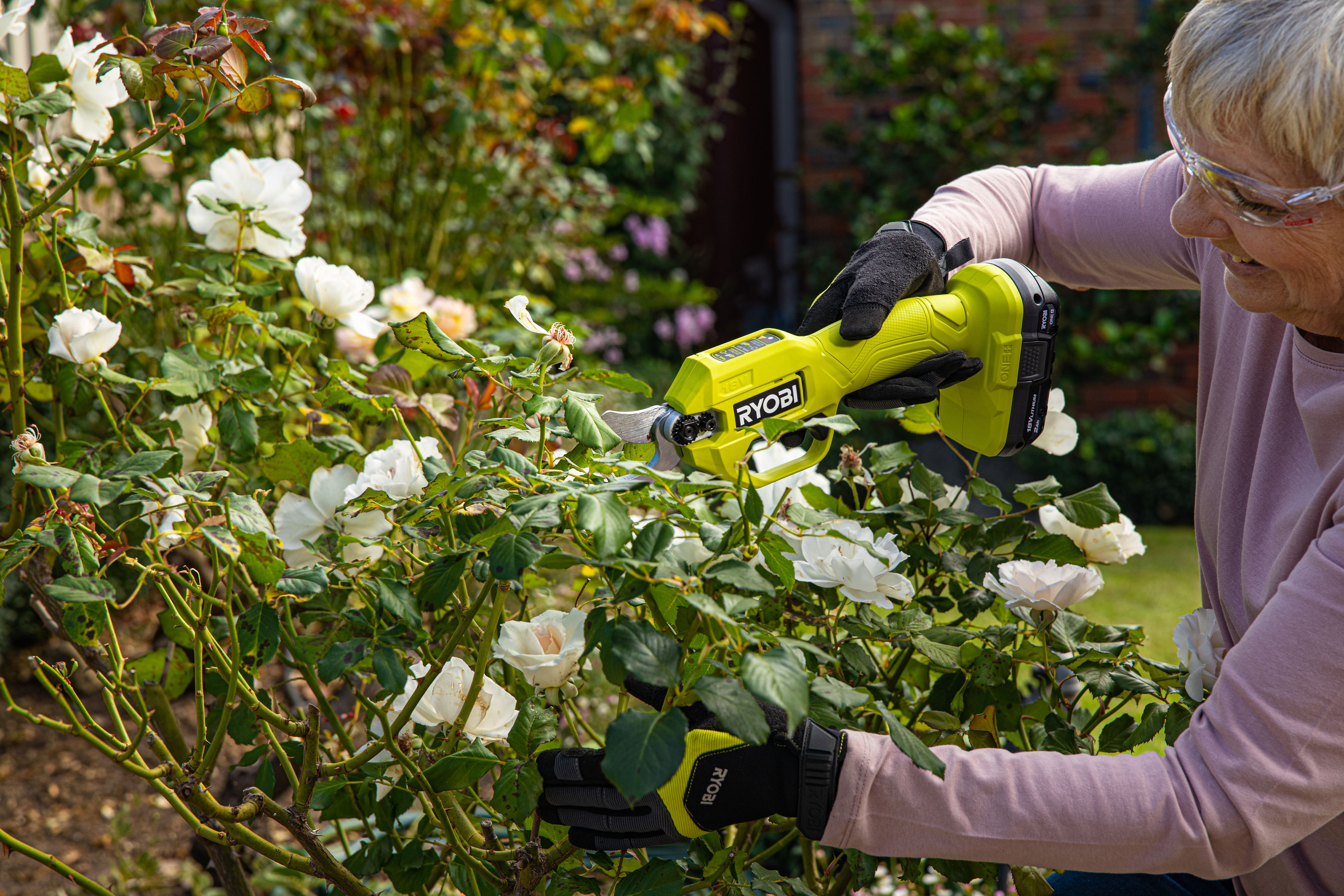 A woman uses RYOBI secateurs to prune rose bush
